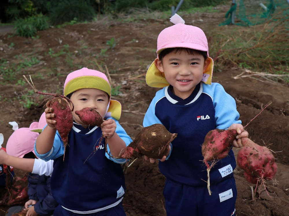 １０月２３日にサツマイモ掘り大会を行いました